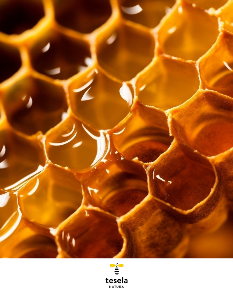 Miel pura de abeja, miel cruda de limón - Tesela 320 gr - Imagen 5